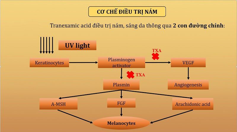 Talkshow Tối ưu hiệu quả điều trị sắc tố đường bội